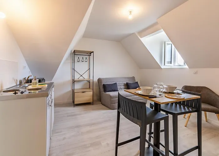 Proche Universite Et Commodites * 昂热